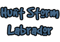 Hunt Storm Labrador 